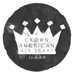 Crown American Ale Yeast 11,5g/20-25l