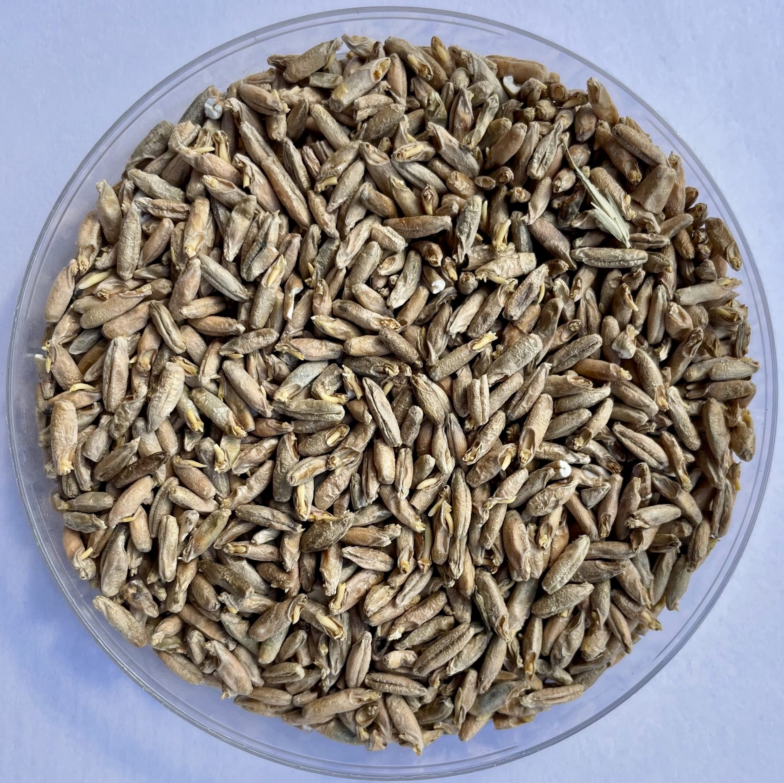 Pehkolan Mallastamo-Mustakaura EBC 2-4 1-25Kg  OUTLET