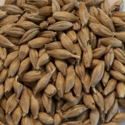 Pehkolan Mallastamo-Vienna EBC 4-6 1-25Kg OUTLET